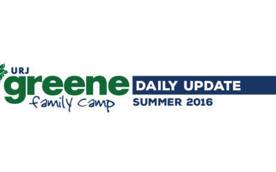 Daily Updates